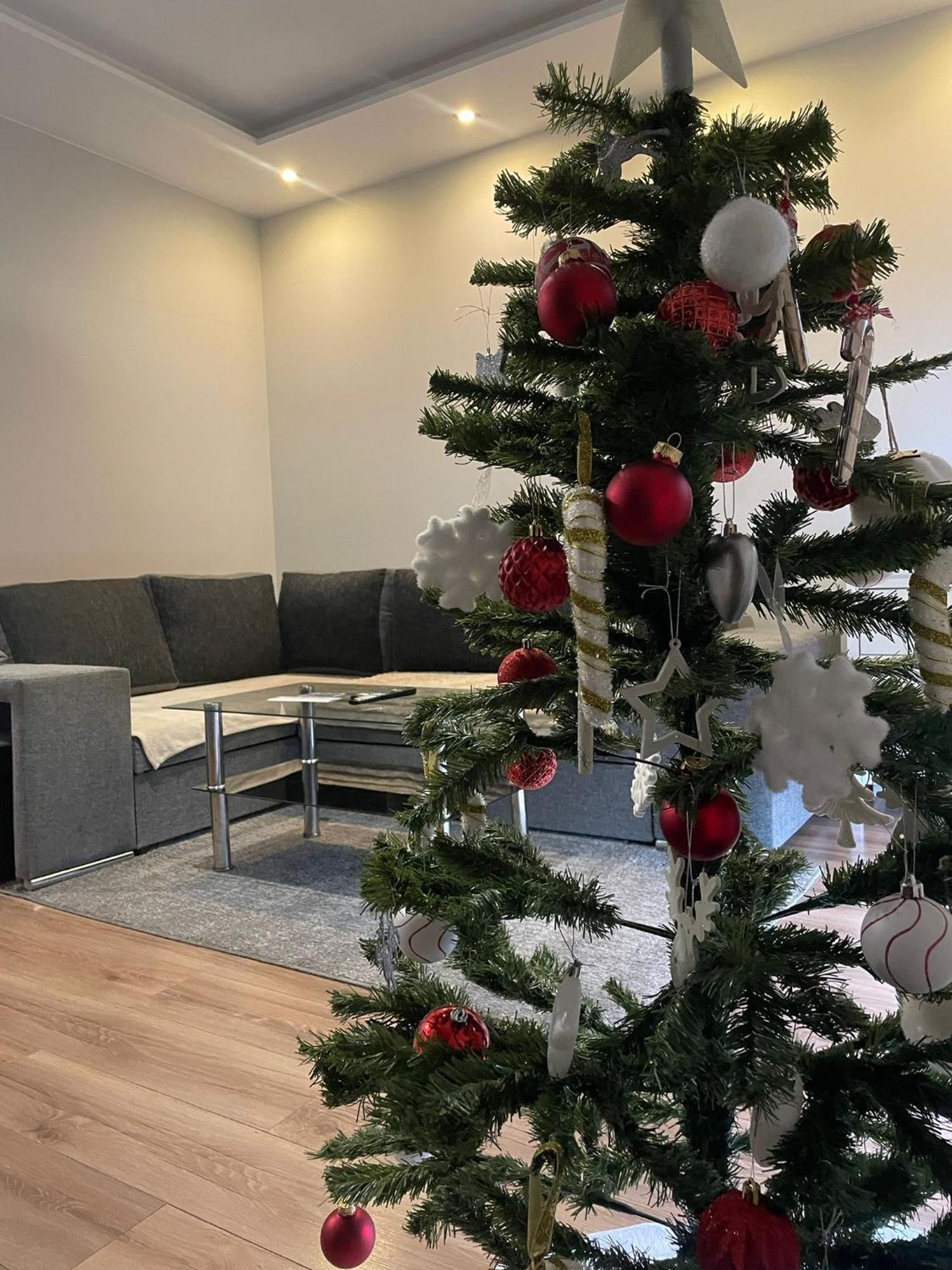Apartament Laura Z Ogrodkiem Kielce Exteriér fotografie